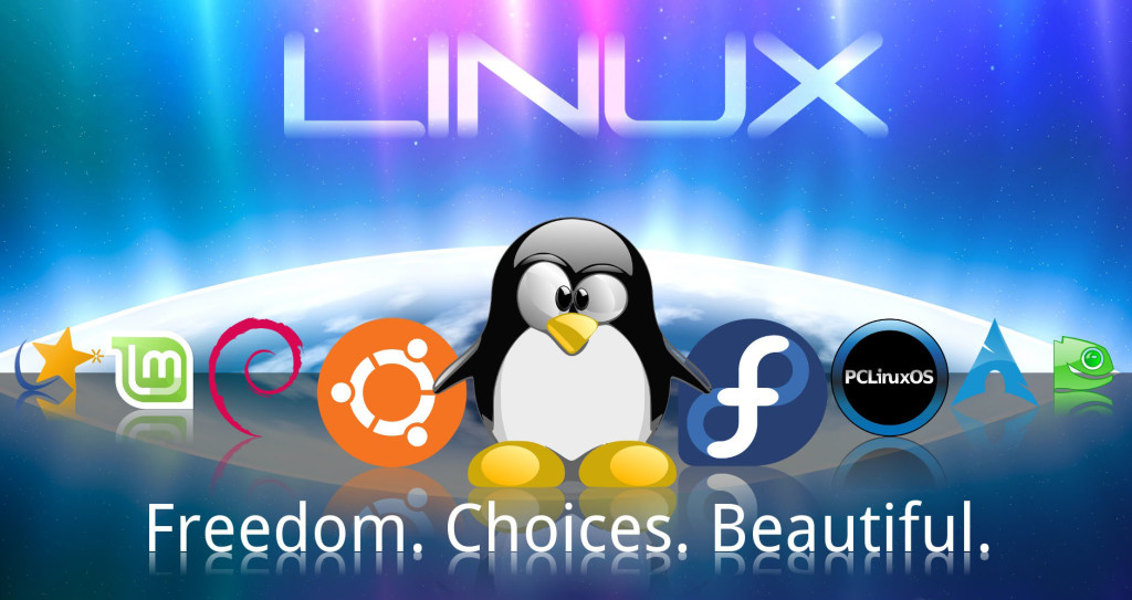 Linux OS 
